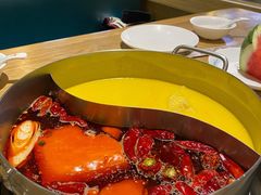 -青瓷火锅料理(西单大悦城店)