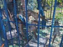 -萌宠亲子动物乐园(槐房万达店)