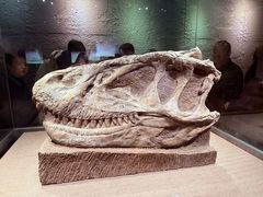 -自贡恐龙博物馆