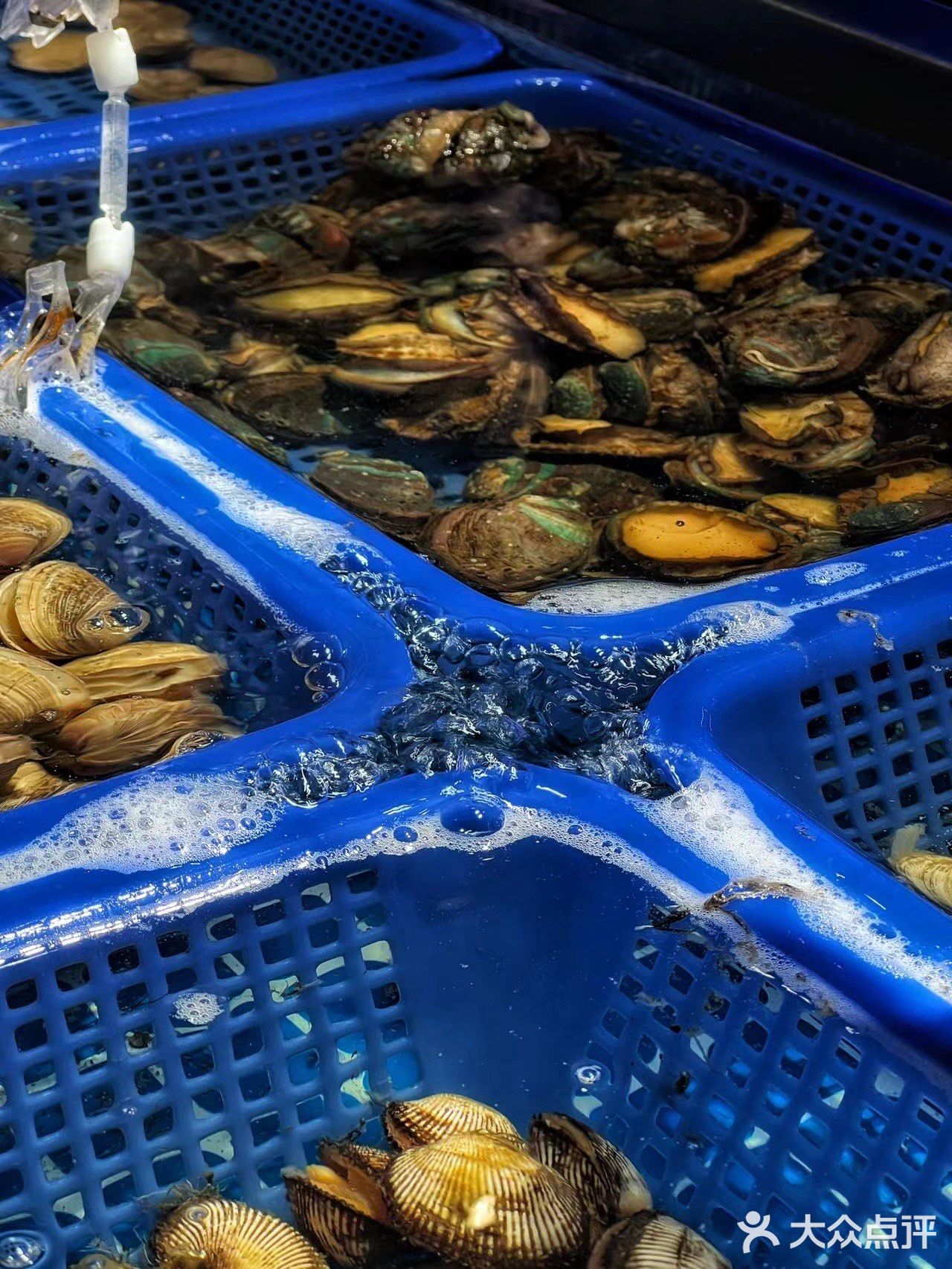 胖子龙虾海鲜烧烤| 让美味奔跑起来～