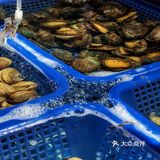 胖子龙虾海鲜烧烤| 让美味奔跑起来～