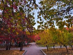 -吉林大学(南岭校区)