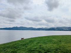 -东钱湖旅游度假区