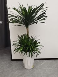 -洛施奇烫发染发沙龙