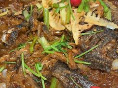 -老板恋上鱼(恒隆广场店)