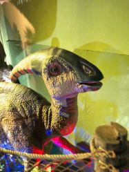 -恐龙探索乐园(磁器口店)