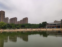 -青枫公园