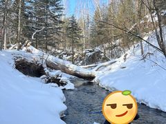 -峡谷浮石林景区