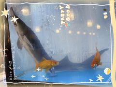 -守柴炉烤鸭&顺水鱼馆(合生汇店)