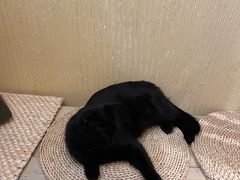 -萤火虫咖啡(后海店)