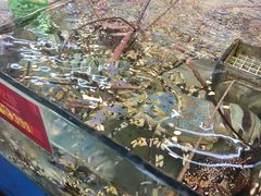 -大茄来海鲜餐厅(亚洲城分行)