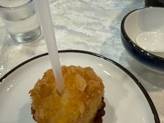 -丁老爷子苏香圆
