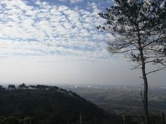 -峙山公园