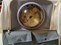 -四月宠物医院·猫专科·心脏专科·内科(转塘店)