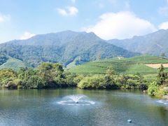 -龙坞茶村