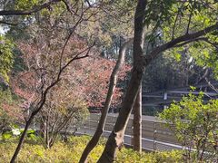 -福道