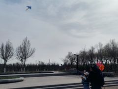 -天津东丽湖风景区