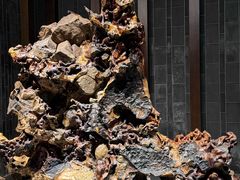 -乐山乌木文化博览苑