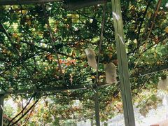 -伊隆斋(什刹海店)