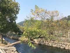 -月敏农家乐(树山店)