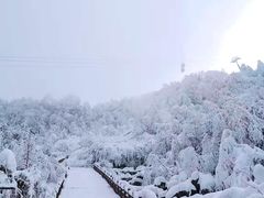 -瓦屋山景区
