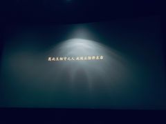 -金逸影城(光美江宁IMAX店)