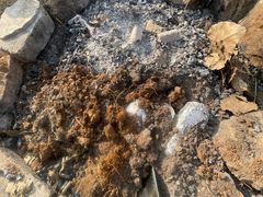 -盘龙城国家考古遗址公园