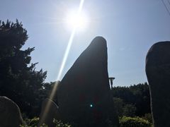 -光明港公园