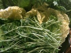 -手选潮汕鲜活牛肉火锅(二七广场店)