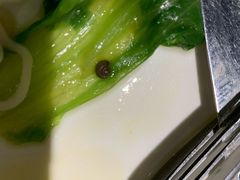 -龙记烧腊茶餐厅(常德路店)