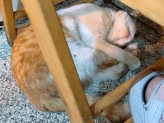 -厕所串串(文殊院店)