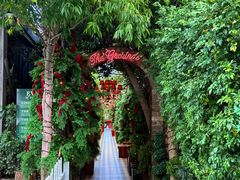 -The Grounds of Alexandria