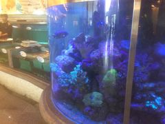 -快乐海鲜酒楼(滇池路店)