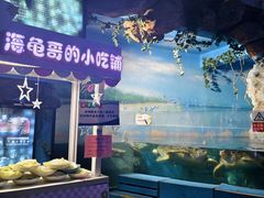 -烟台海昌鲸鲨海洋公园