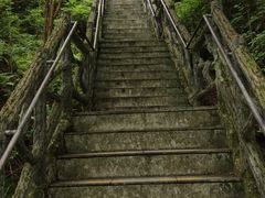 -汤旺河林海奇石景区