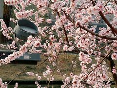 -安定门(地铁站)