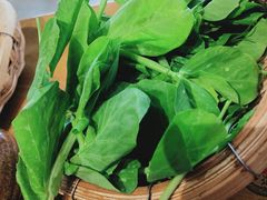 -阿婆情腊排骨火锅(饮玉巷店)
