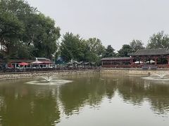 -尚庄度假村·庭台树下·户外烧烤·团建CS·轰趴营地(上庄水库店)