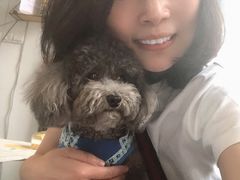 -Oh My Dog宠物沙龙(伊珊娜皮毛护理店)