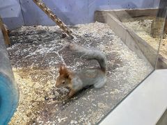 -海合安青岛极地海洋公园