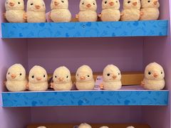 -名创优品(湖南长沙市银盆岭万达店)