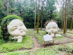 -东平国家森林公园