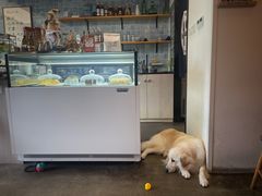-尤加利咖啡馆