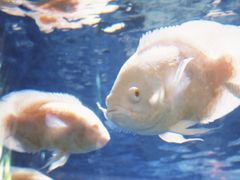 -常州海昌海洋探索馆