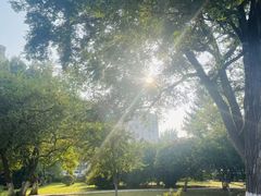 -辽宁大学(崇山校区)