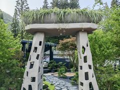-深圳仙湖植物园