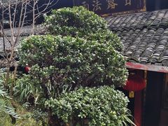 -峨眉山报国寺