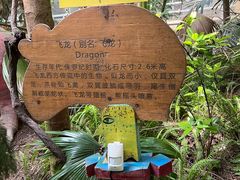 -呀路古热带植物园