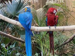 -杭州开元森泊度假乐园