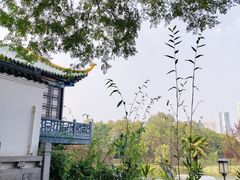 -古琴台